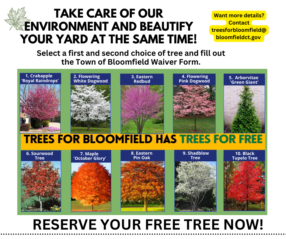 Trees for Bloomfield - RESERVE YOUR TREE 