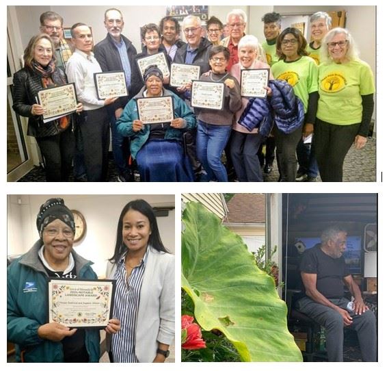 Notable Landscape Awards Photos