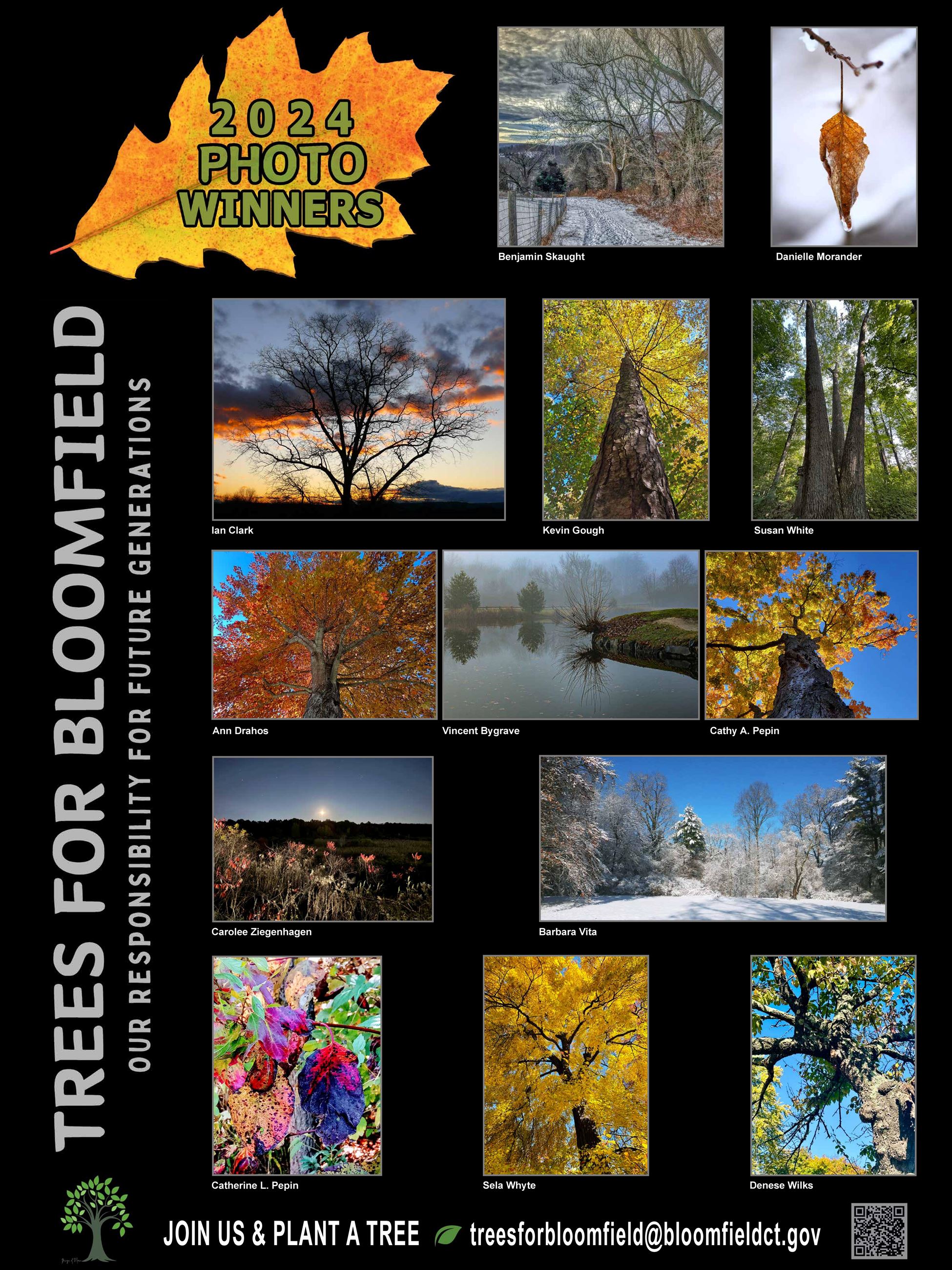 2024 TFB Photo Contest Winners